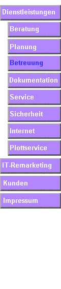 It + edv Consulting
